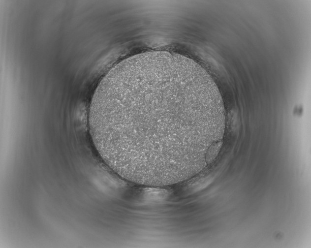 X0000093620234200711051245