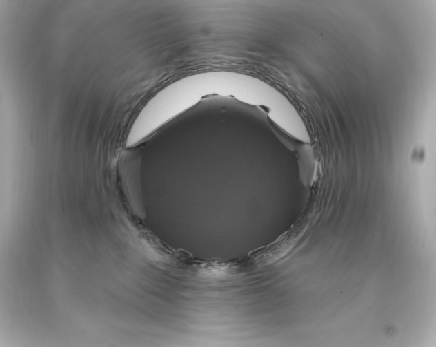 X0000093620235200711051245