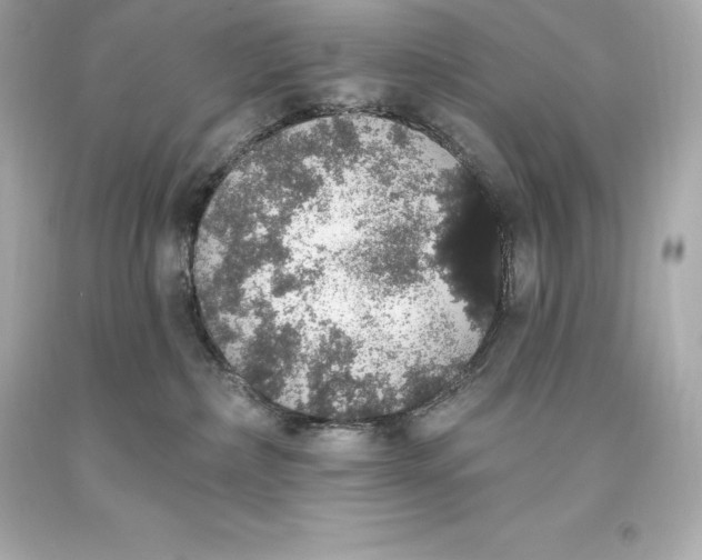 X0000093620236200711051245