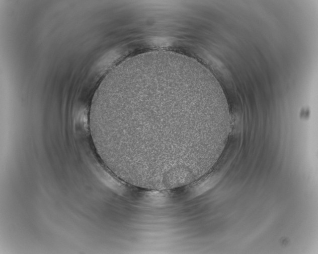 X0000093620238200711051245