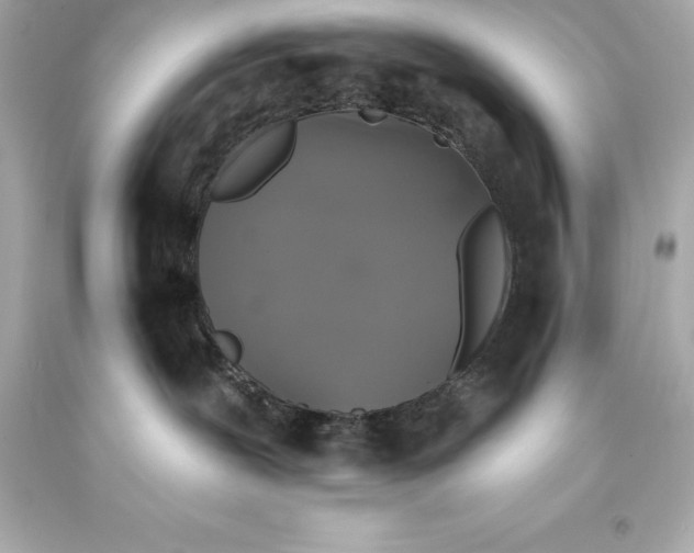 X0000093620239200711051245