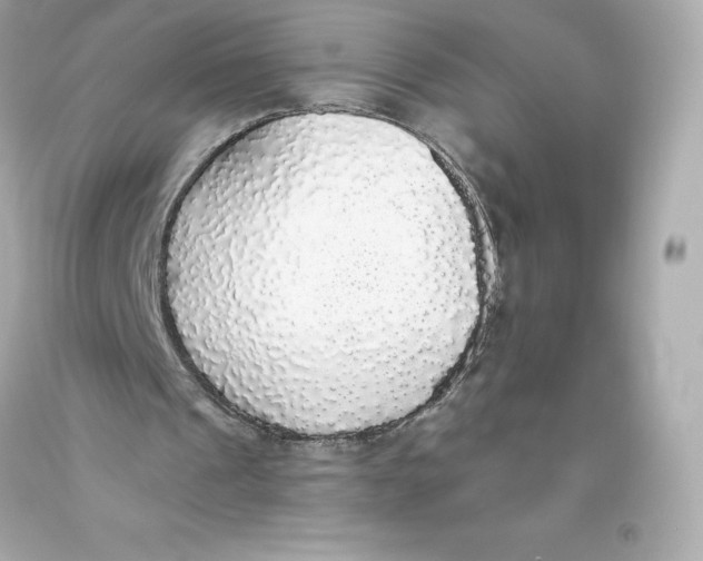 X0000093620241200711051245