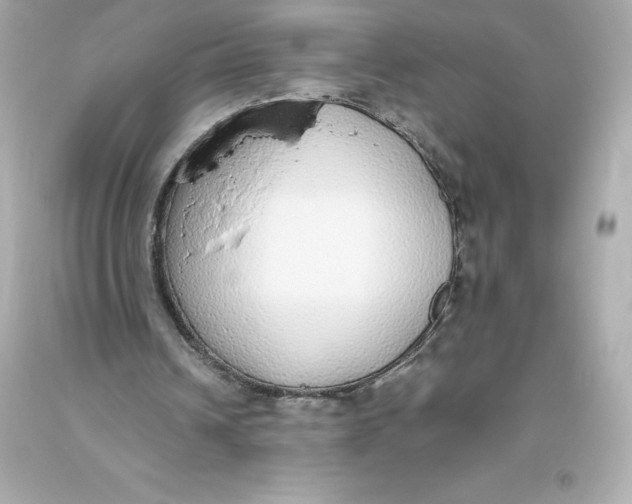 X0000093620242200711051245