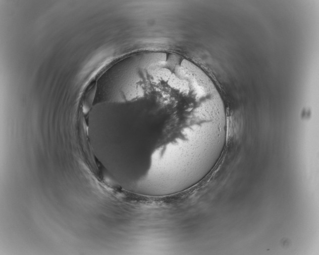 X0000093620243200711051245