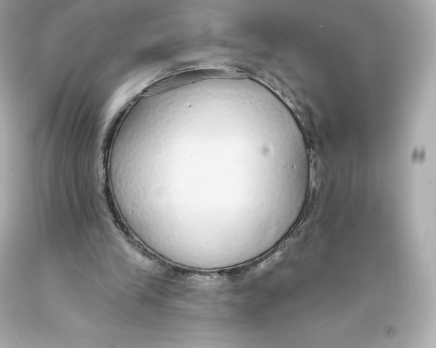 X0000093620245200711051245