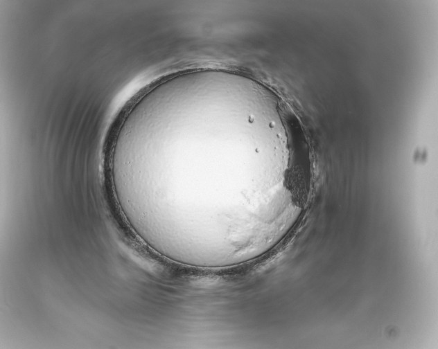 X0000093620246200711051245