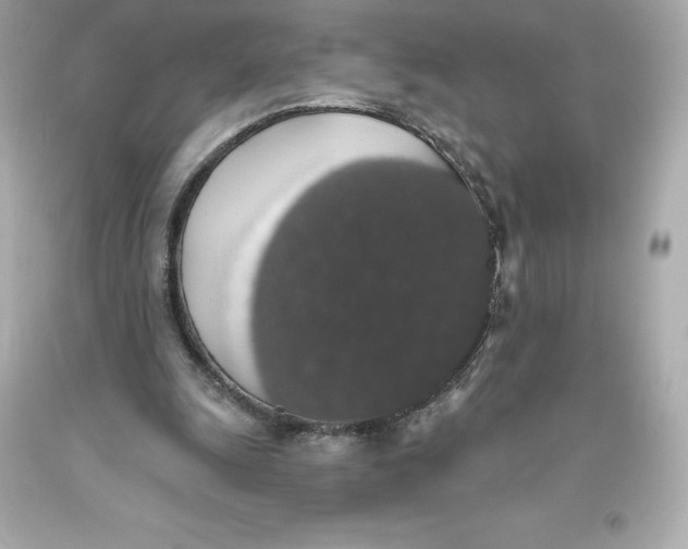 X0000093620247200711051245