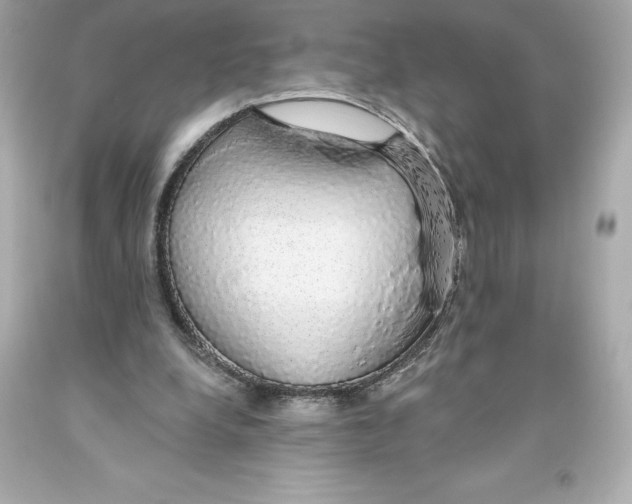 X0000093620248200711051245