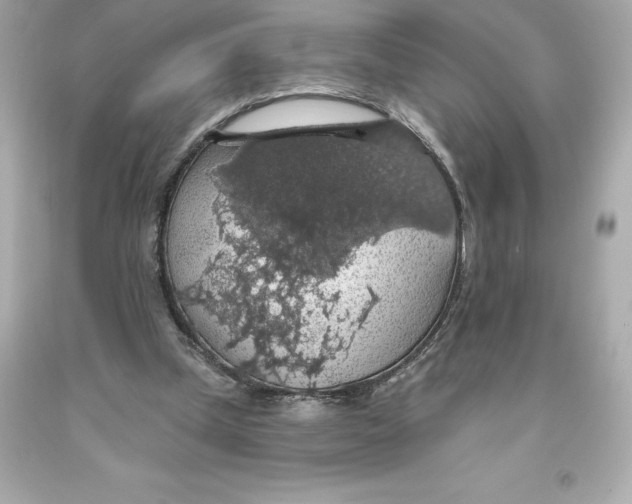 X0000093620249200711051245