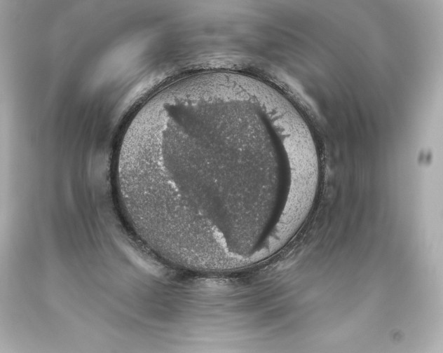 X0000093620250200711051245