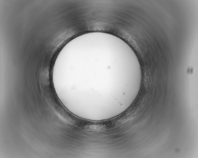 X0000093620251200711051245