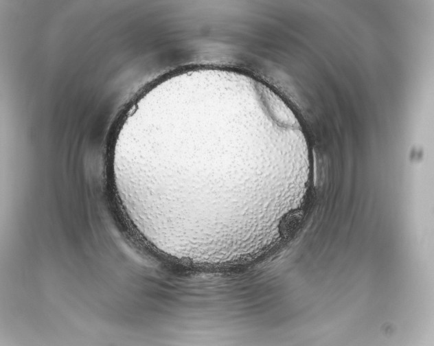 X0000093620252200711051245