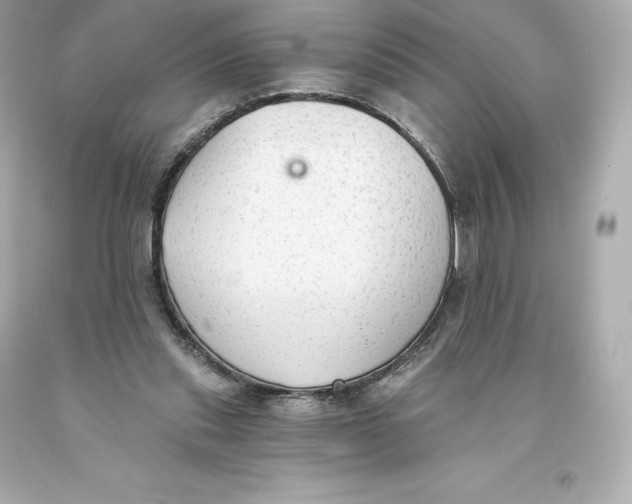 X0000093620253200711051245