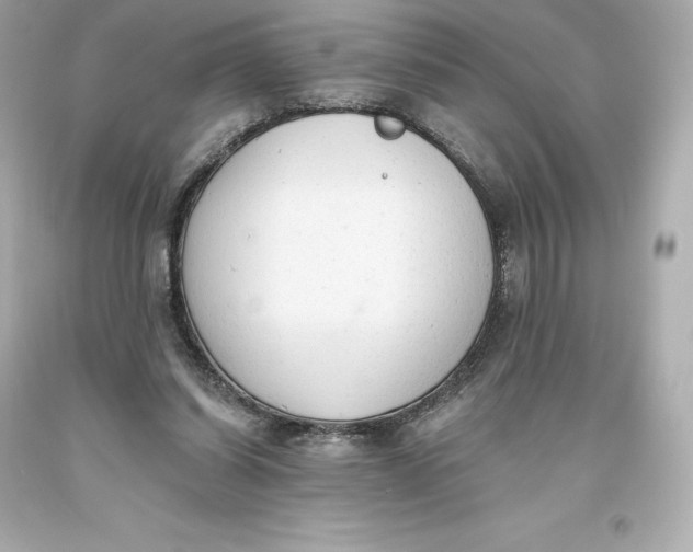 X0000093620254200711051245