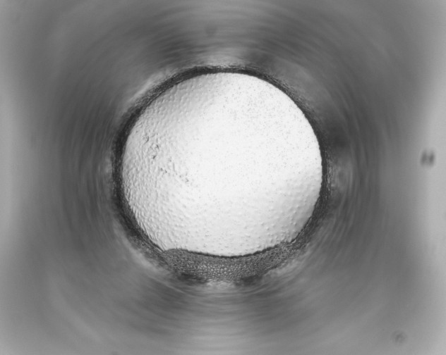 X0000093620256200711051245