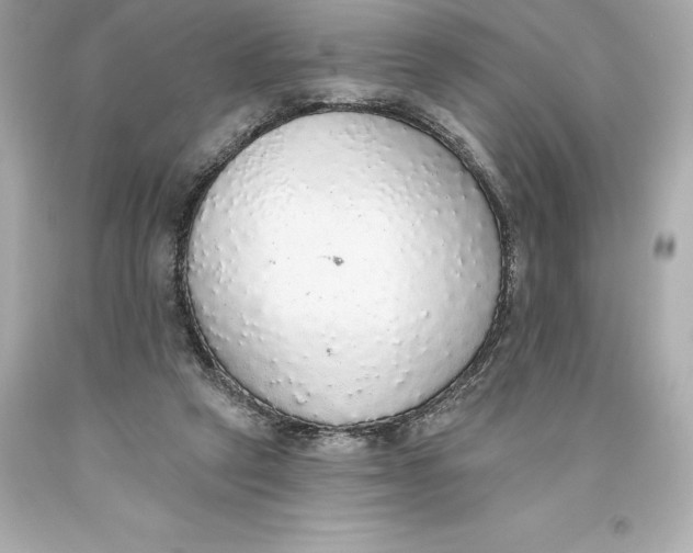 X0000093620257200711051245