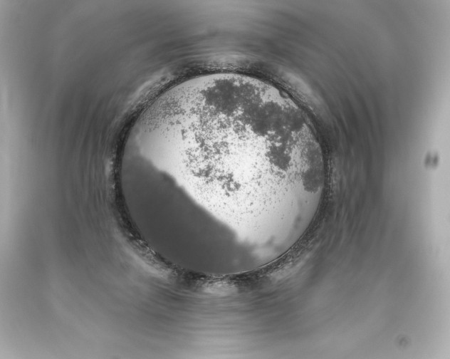 X0000093620258200711051245