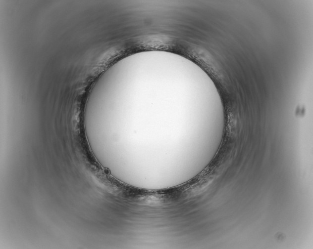 X0000093620259200711051245