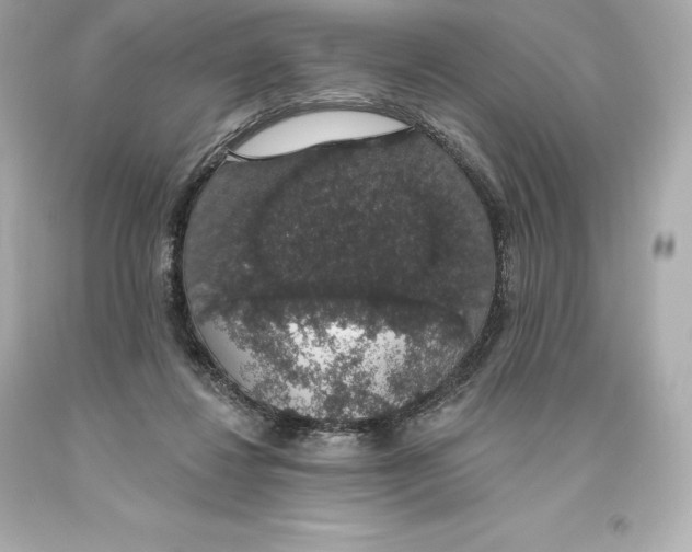 X0000093620260200711051245