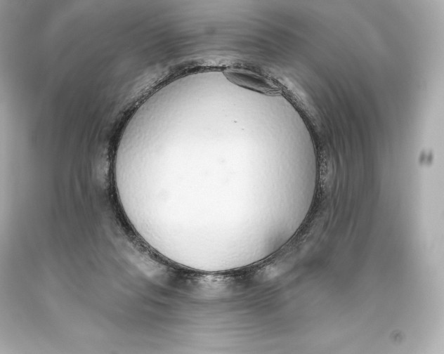 X0000093620261200711051245