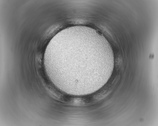 X0000093620264200711051245