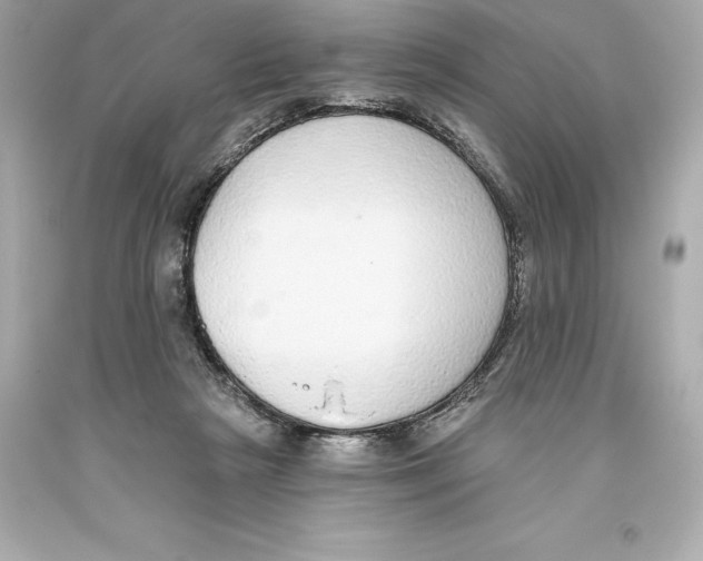 X0000093620265200711051245