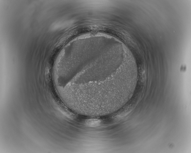 X0000093620266200711051245