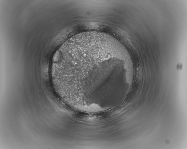 X0000093620267200711051245