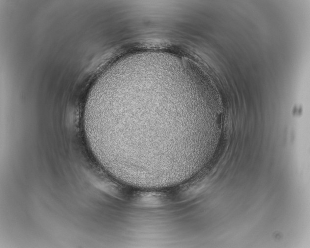 X0000093620268200711051245