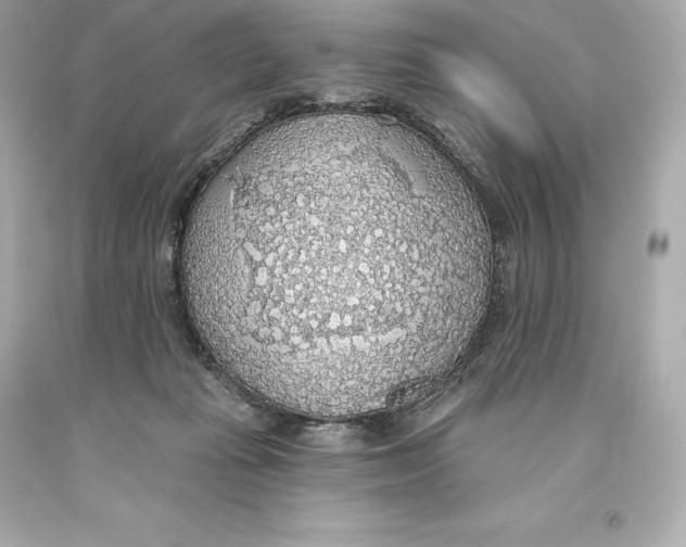 X0000093620269200711051245