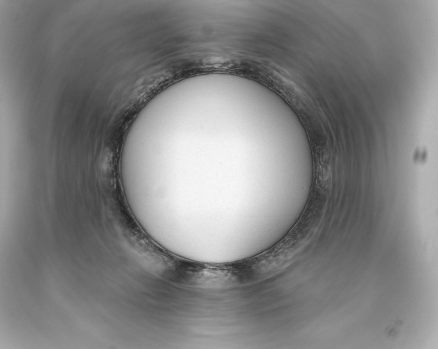 X0000093620270200711051245