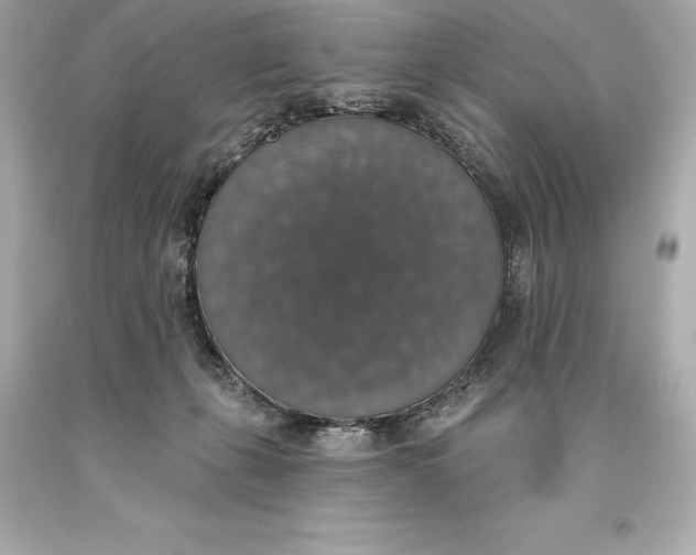 X0000093620271200711051245