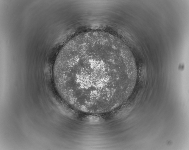 X0000093620272200711051245