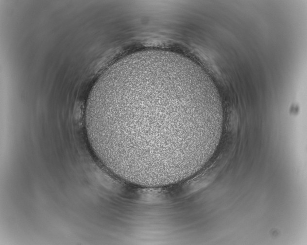 X0000093620273200711051245