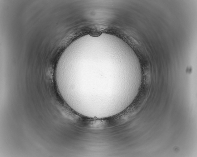 X0000093620274200711051245