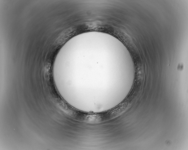 X0000093620275200711051245