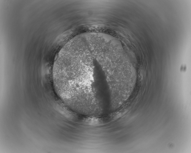 X0000093620276200711051245