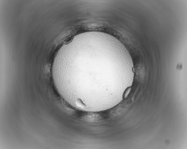 X0000093620278200711051245