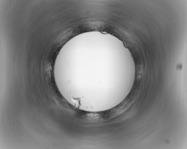 X0000093620279200711051245