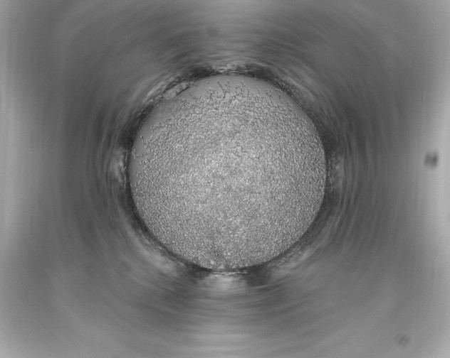 X0000093620280200711051245