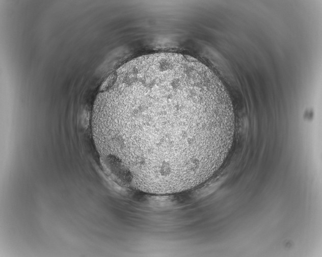 X0000093620281200711051245