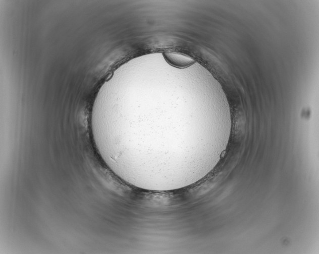 X0000093620282200711051245