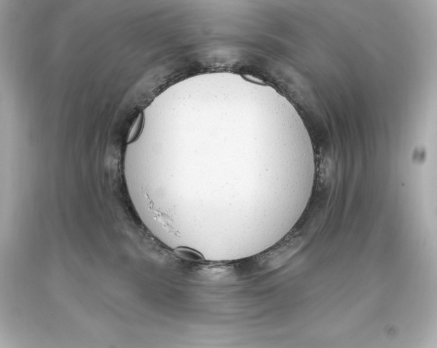 X0000093620283200711051245