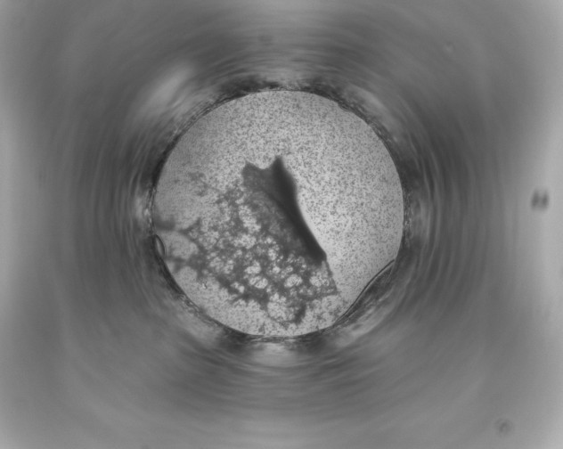 X0000093620285200711051245