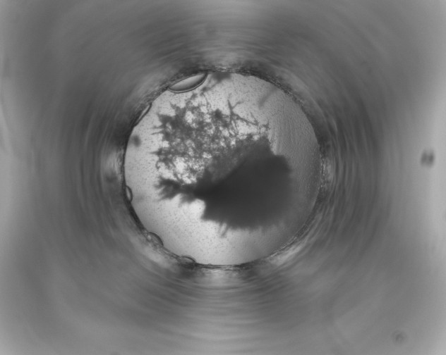 X0000093620286200711051245