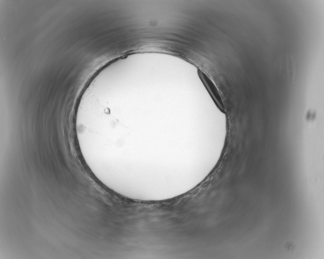 X0000093620289200711051245