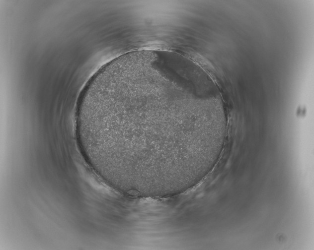 X0000093620290200711051245