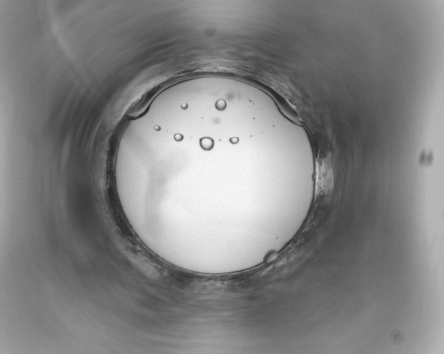 X0000093620291200711051245