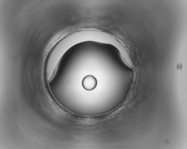 X0000093620293200711051245