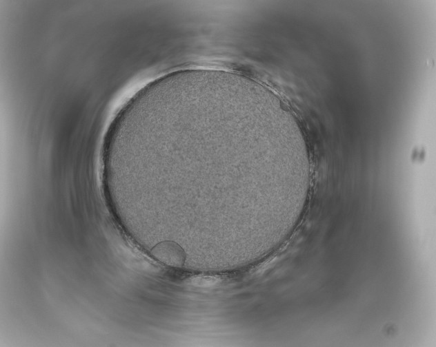 X0000093620294200711051245